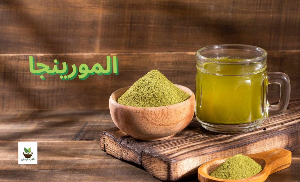 المورينجا