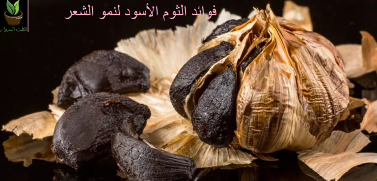 فوائد الثوم الأسود للشعر