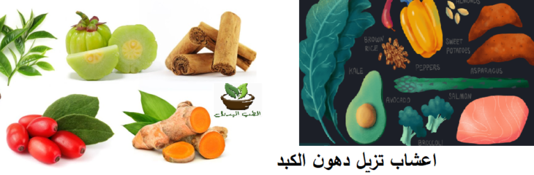 اعشاب تزيل دهون الكبد