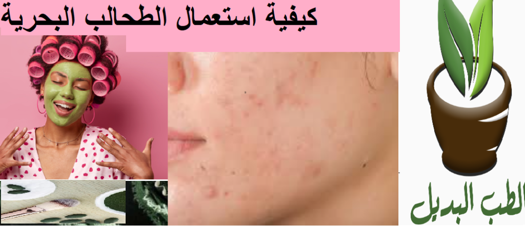 كيفية استعمال الطحالب البحرية