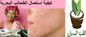 كيفية استعمال الطحالب البحرية