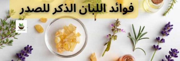فوائد اللبان الذكر للصدر