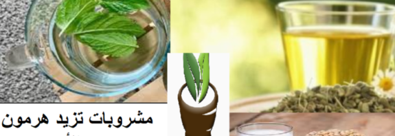 مشروبات تزيد هرمون الأستروجين