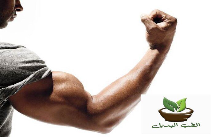 تمارين لتقوية عضلات الذراعين في البيت للرجال