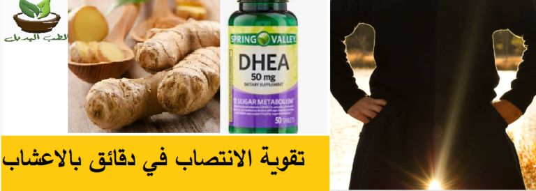 تقوية الانتصاب في دقائق بالاعشاب