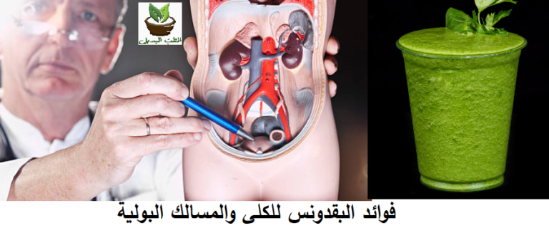 فوائد البقدونس للكلى والمسالك البولية