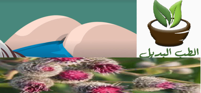 فوائد الارقطيون كعلاج سحري لالتهاب المفاصل وتكبير المؤخرة