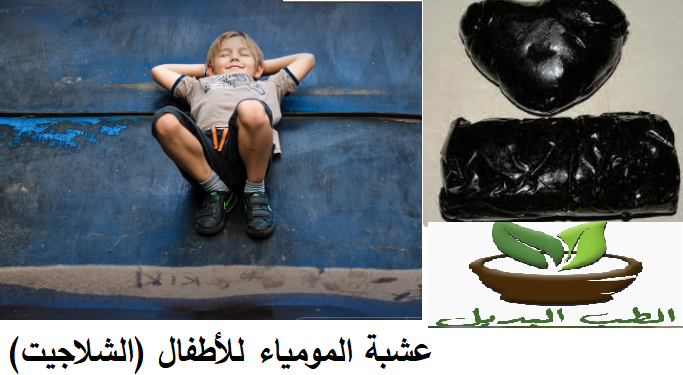 عشبة المومياء للأطفال (الشلاجيت)