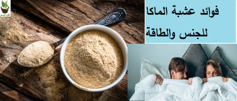 فوائد عشبة الماكا للجنس والطاقة